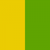 GREEN / YELLOW